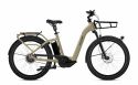 e-Bike Flyer Gotour3